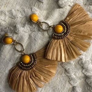 Stylish Statement Earrings